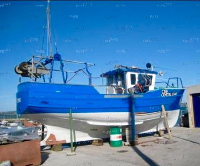 Larch on iroka potter/netter