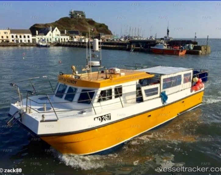 Blythe cat 12 meters