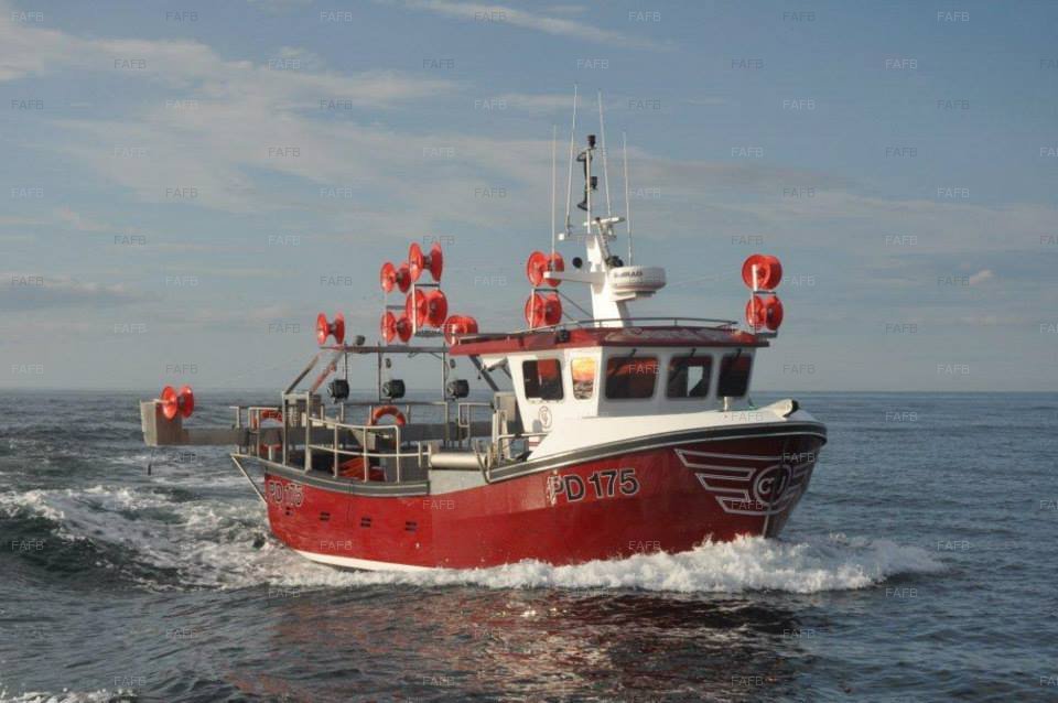 New Build Cygnus and Kingfisher Various sizes