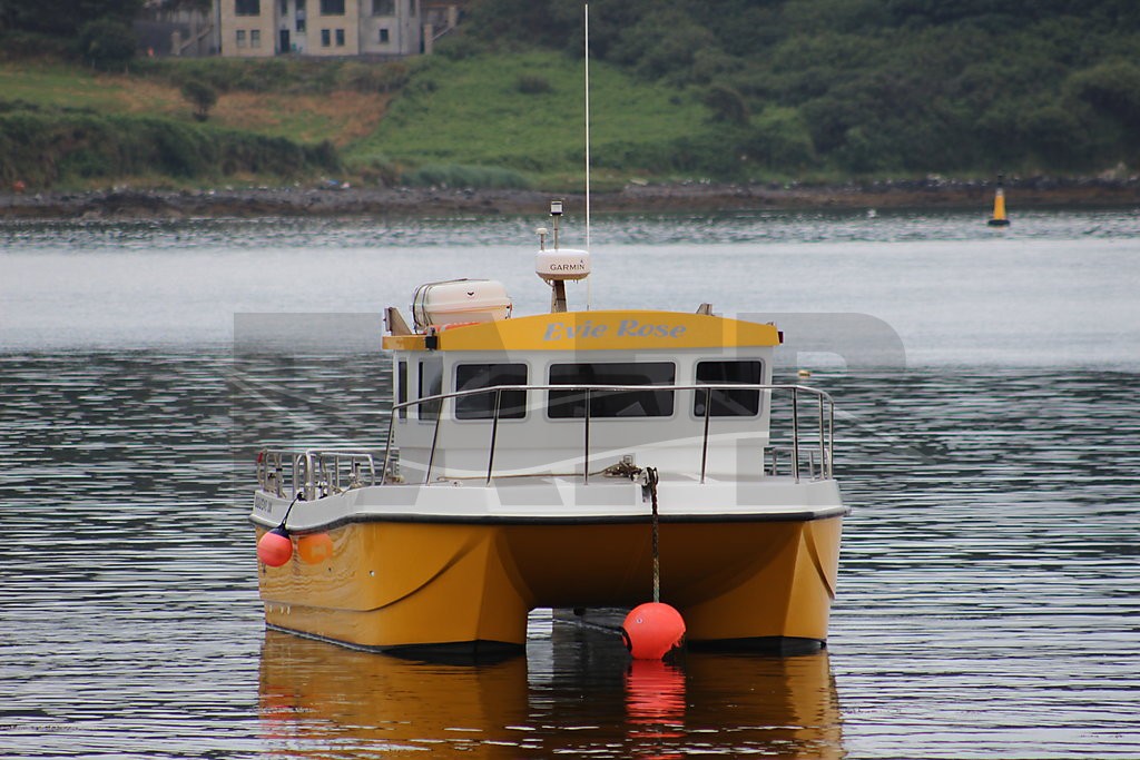 COUGAR CATAMARAN 8M 8m