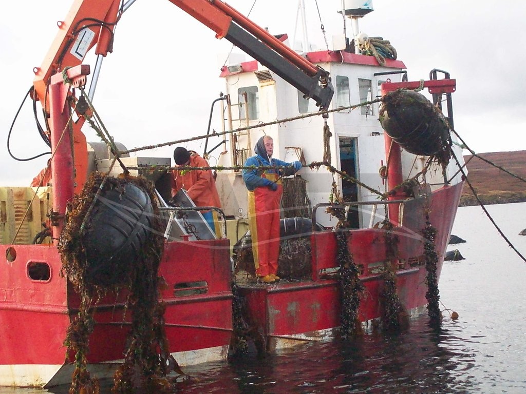 steel fishfarm workboat