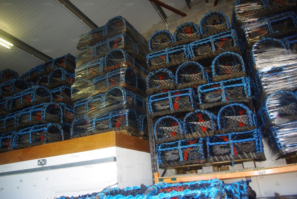 26" Side Entry Lobster Pots