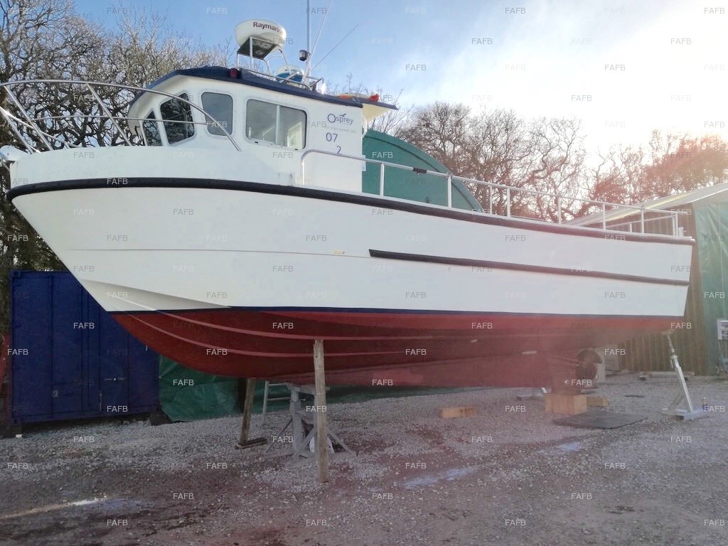 kingfisher fast catch31