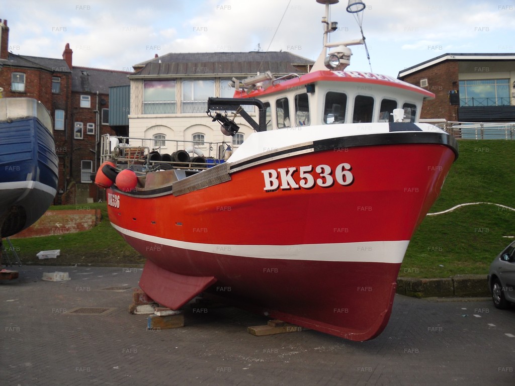 KINGFISHER 26
