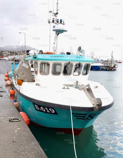 Kingfisher Fastcatch 31