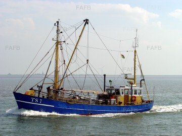 Large picture for advert 91422