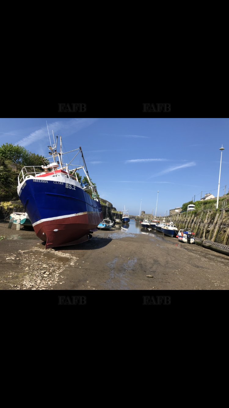 Large picture for advert 64615