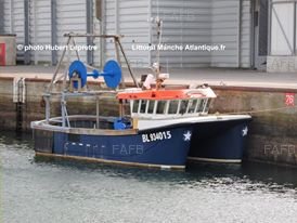 Large picture for advert 87770