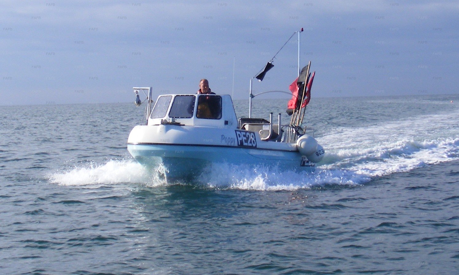 Large picture for advert 87469