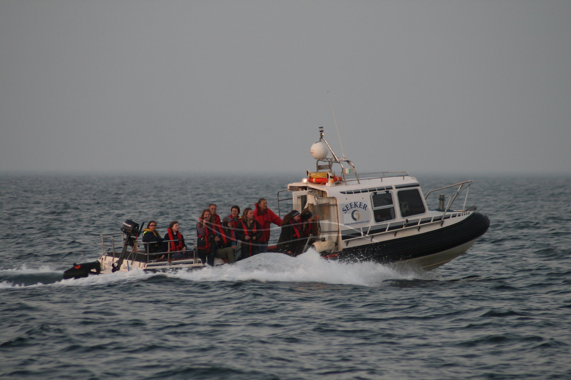 Large picture for advert 52304