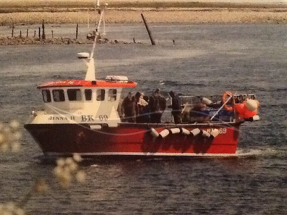 Large picture for advert 66179