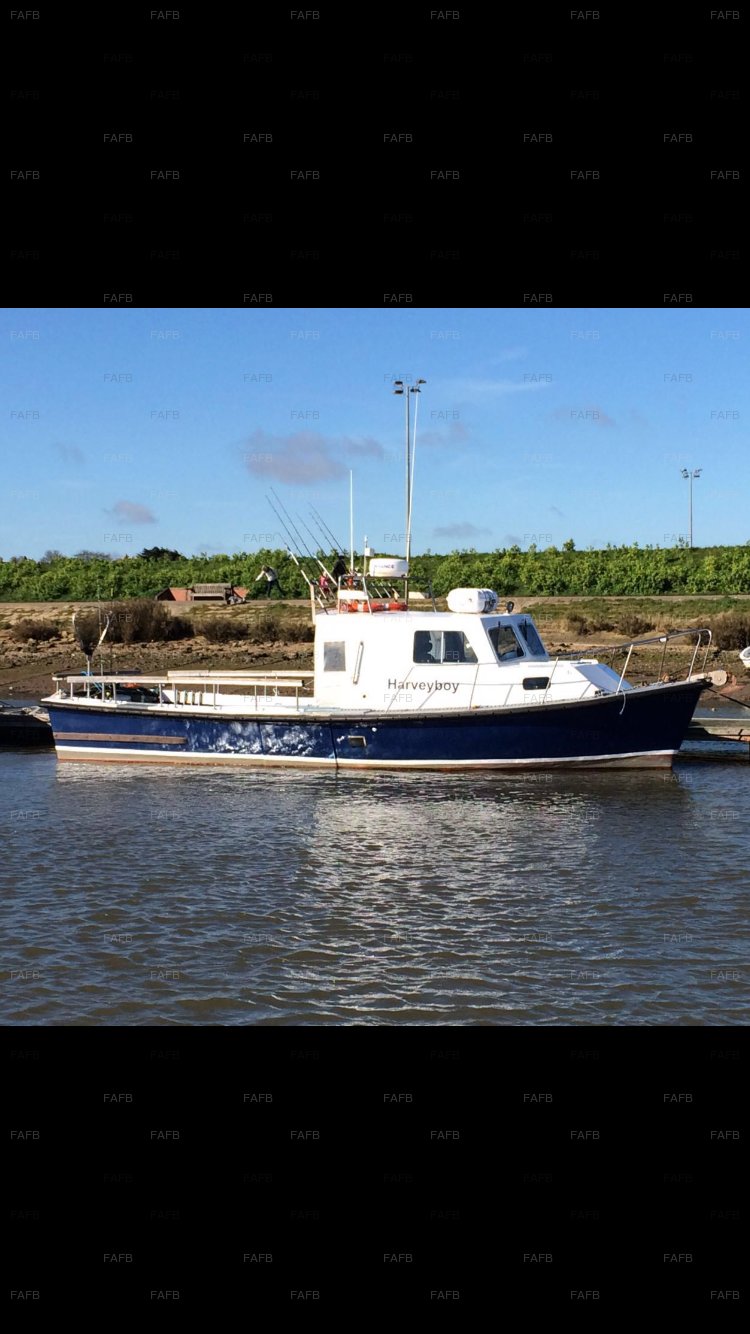 Large picture for advert 91296