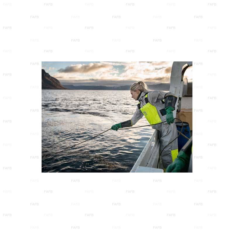 Large picture for advert 92561