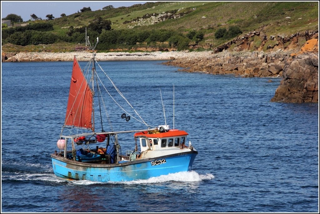 Large picture for advert 83258