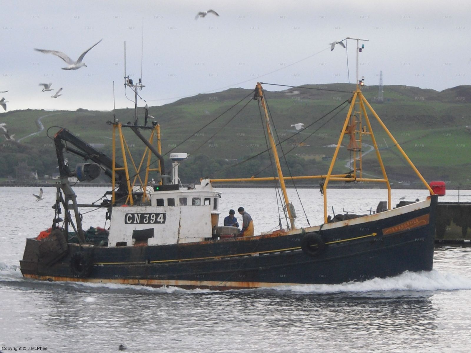 Large picture for advert 71218