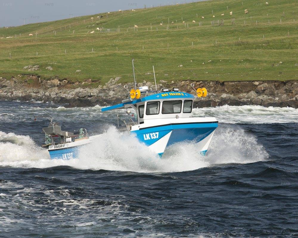 Large picture for advert 52853
