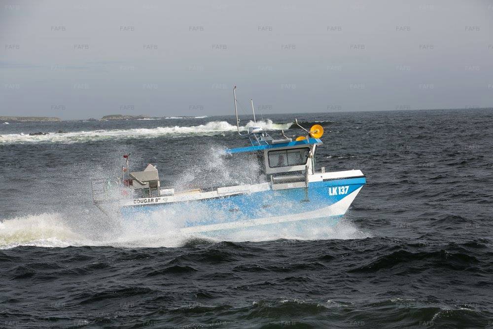 Large picture for advert 52853