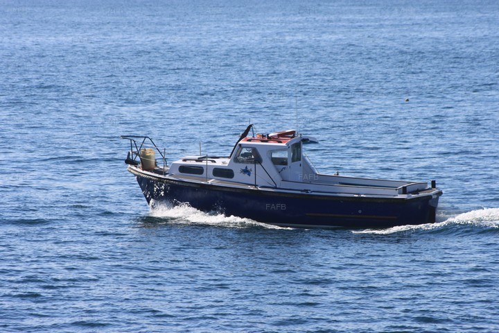 Large picture for advert 71898