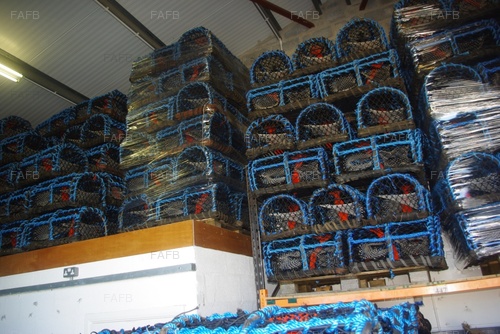 26" Side Entry Lobster Pots