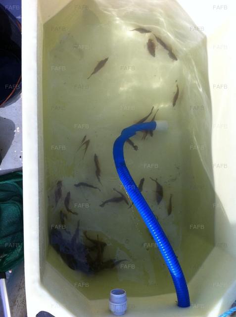 Large picture for advert 76585