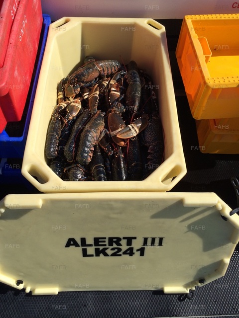 Large picture for advert 76585