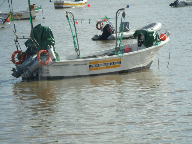 Large picture for advert 52390