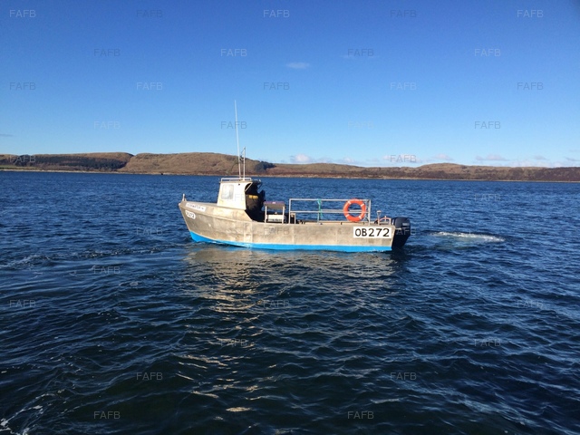 Large picture for advert 76566