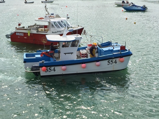 Large picture for advert 72319