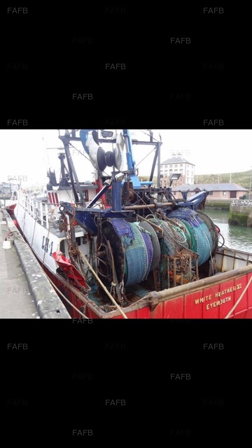 Large picture for advert 75266