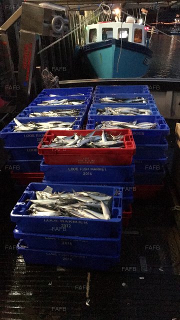 Large picture for advert 92662