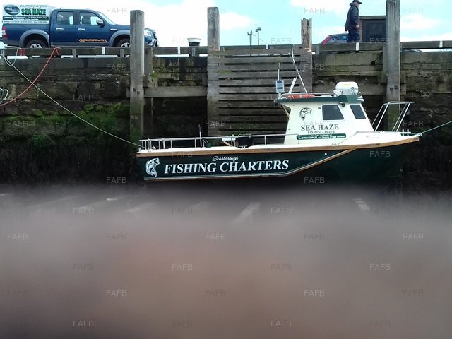 Large picture for advert 95563