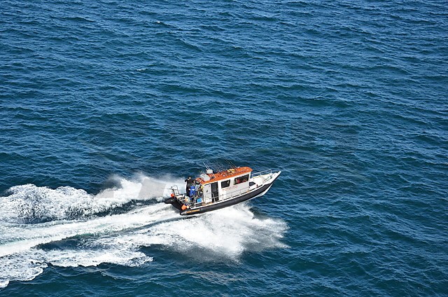 Large picture for advert 58478