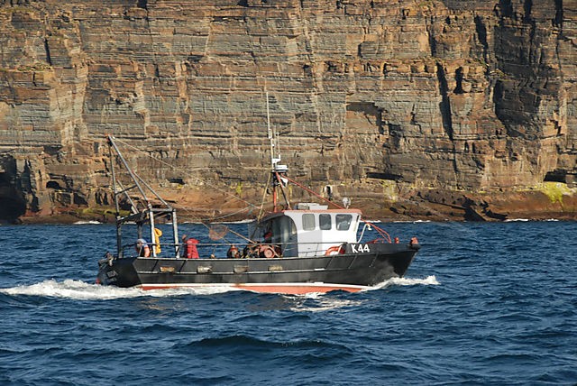 Large picture for advert 62456