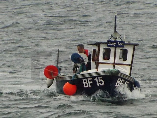 Large picture for advert 65391