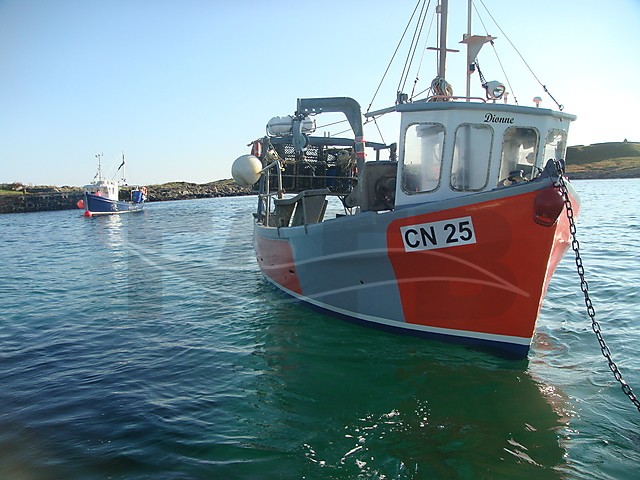 Large picture for advert 64540