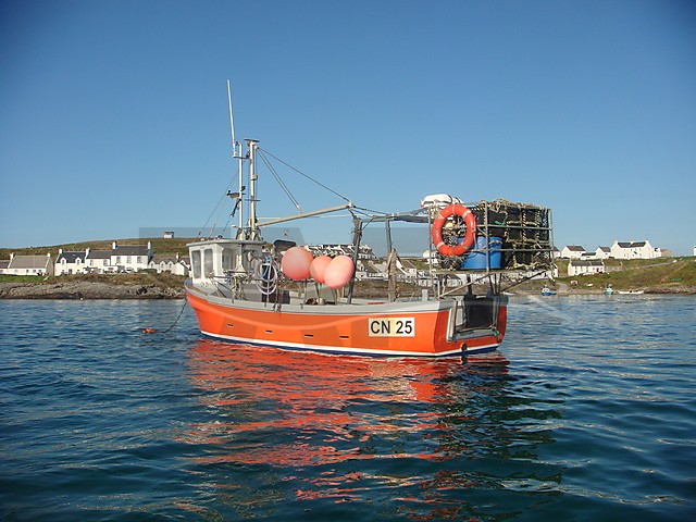 Large picture for advert 64540