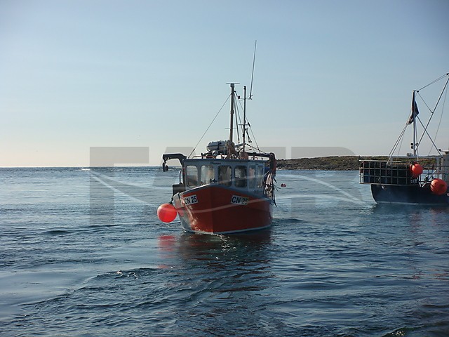 Large picture for advert 64540
