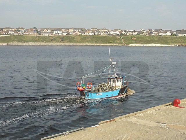 Large picture for advert 66012