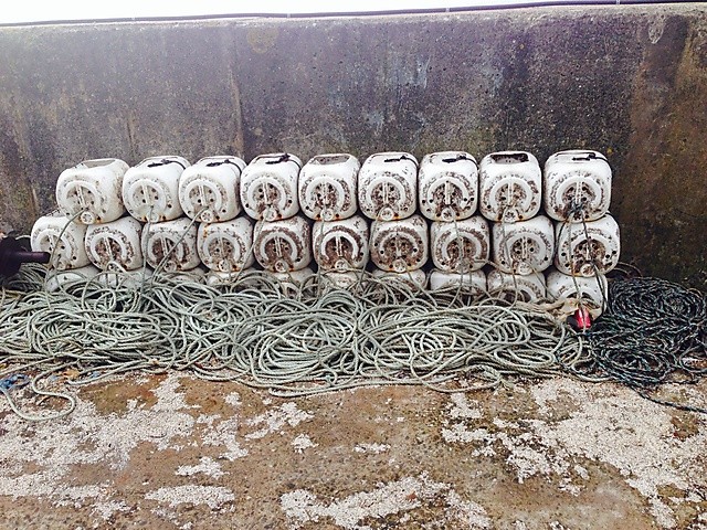 Large picture for advert 66030