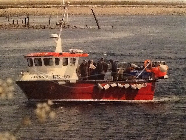Large picture for advert 66179