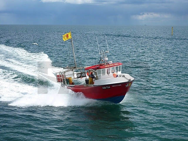 Large picture for advert 66154