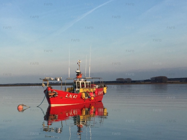 Large picture for advert 77570