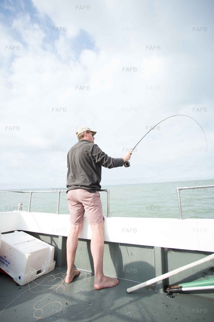 Large picture for advert 67947