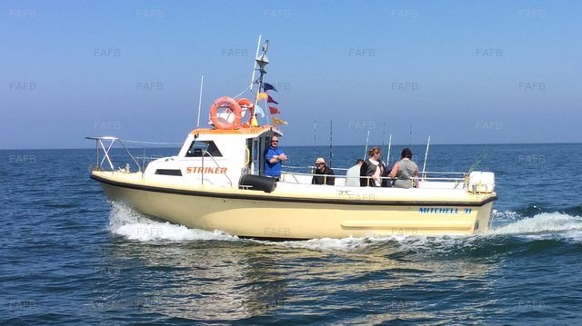 Large picture for advert 73029