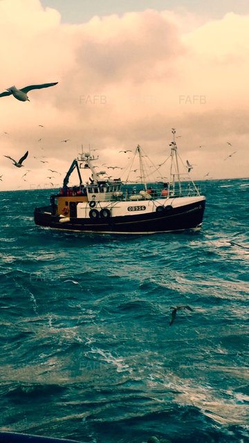 Large picture for advert 94155