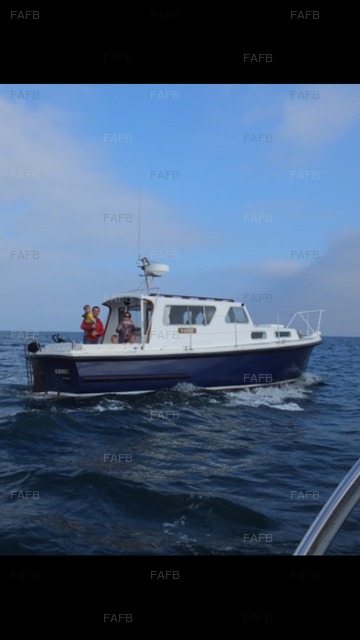 Large picture for advert 75876