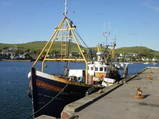 Large picture for advert 71218