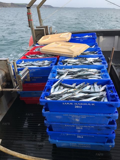 Large picture for advert 92662