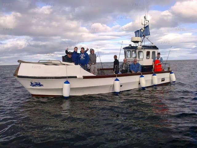 Large picture for advert 85748