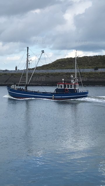 Large picture for advert 91422